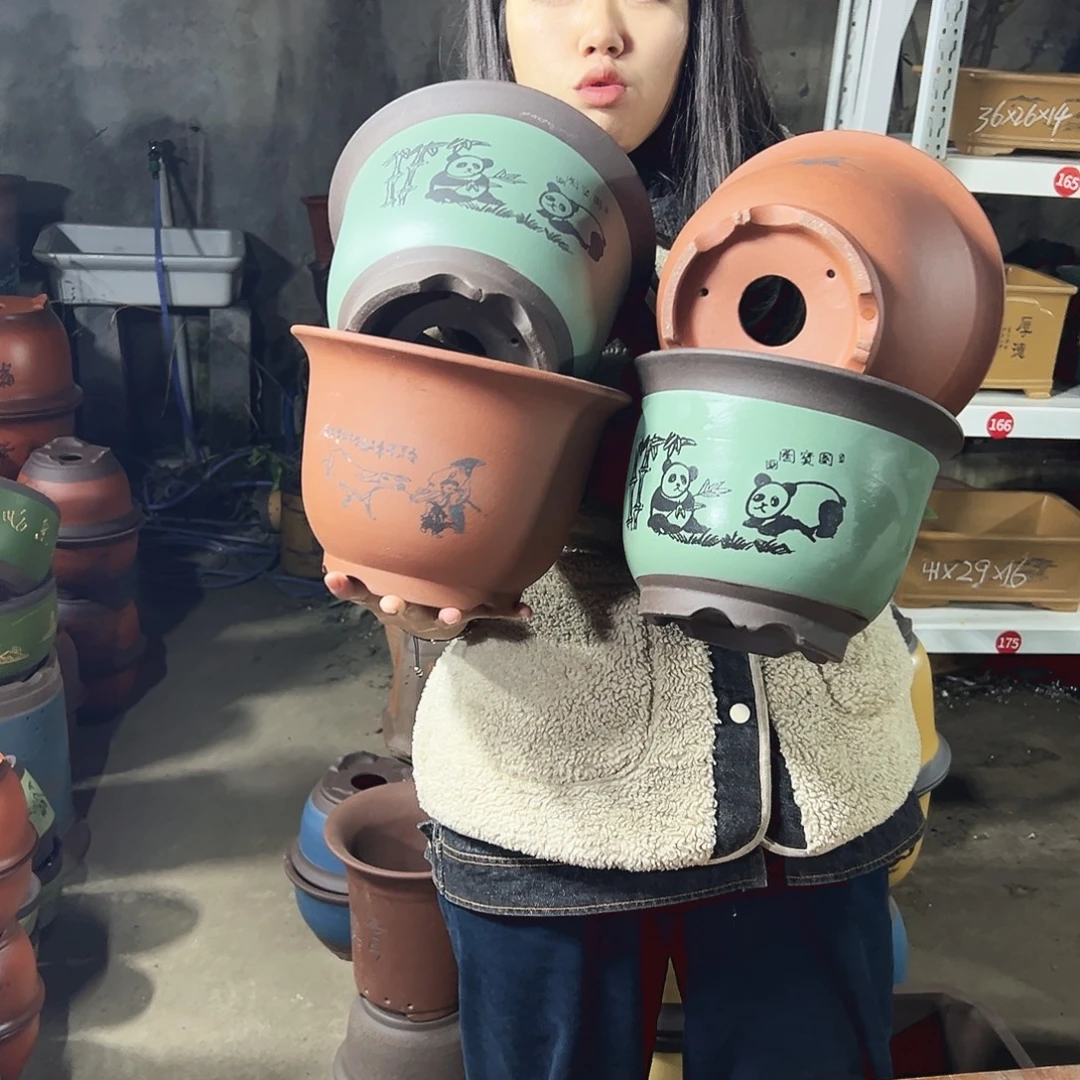 25+25绿色熊猫三角金钟，25+25光板放牛娃平角金钟