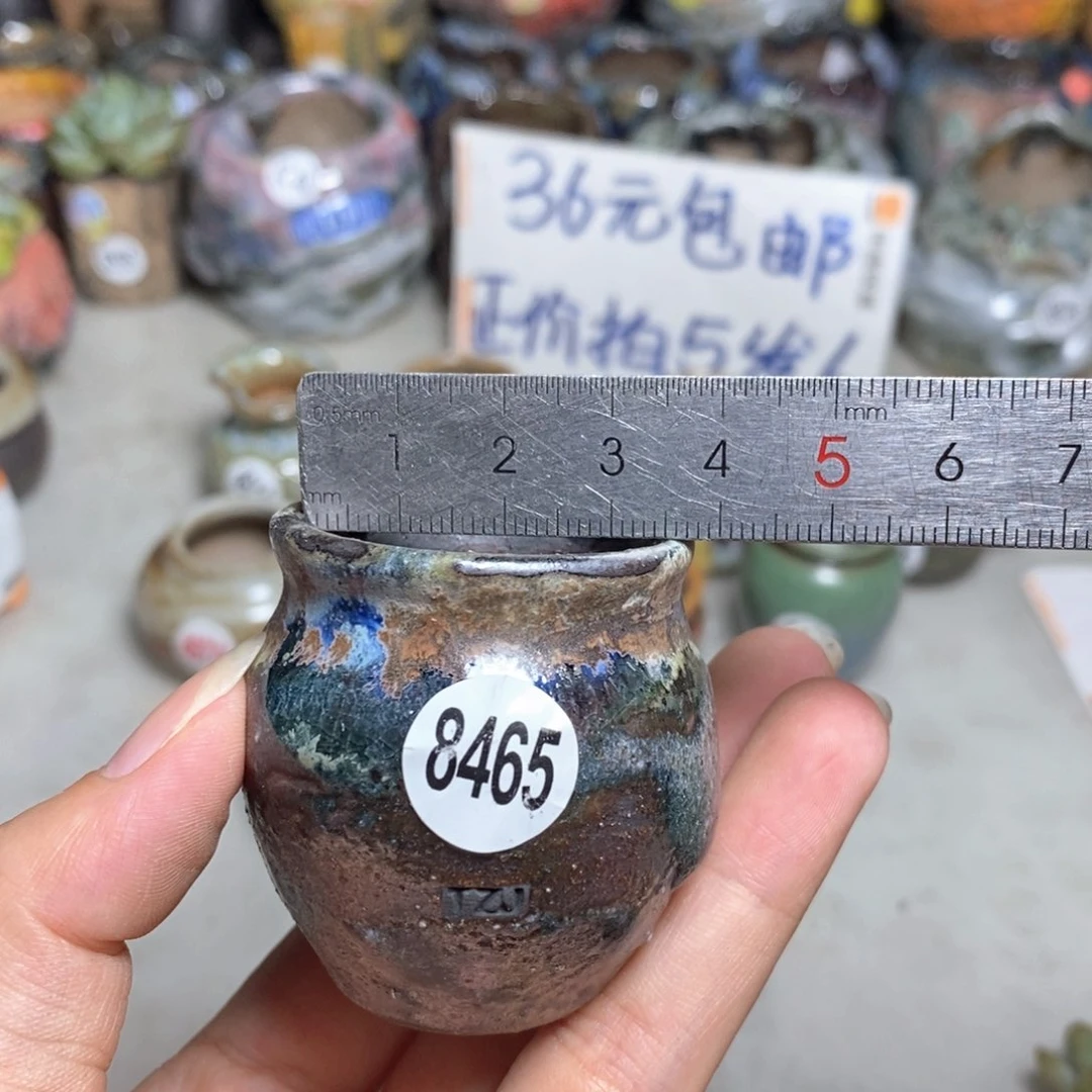 拍5送一个小礼物