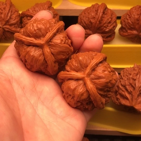 一***静核桃核桃核桃核桃