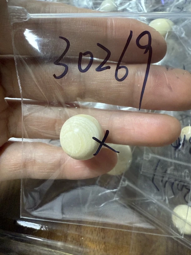 30269猛犸牙单珠瑕疵配饰介意勿拍