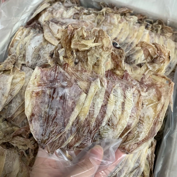 【小丸子1】南澳本港巴掌小鱿鱼  鲜甜煲汤煮粥