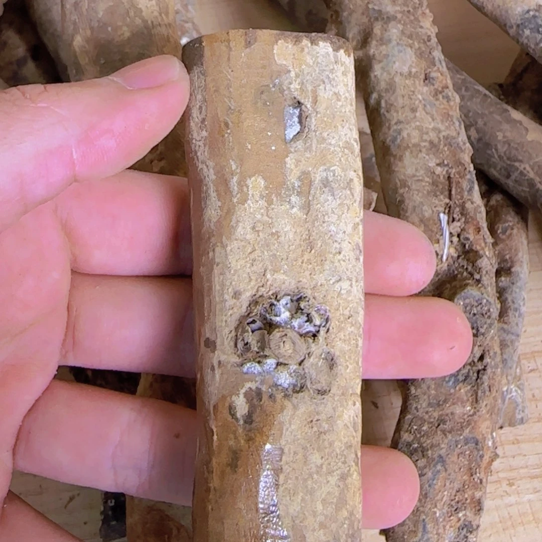 啊啊啊啊啊啊啊啊啊