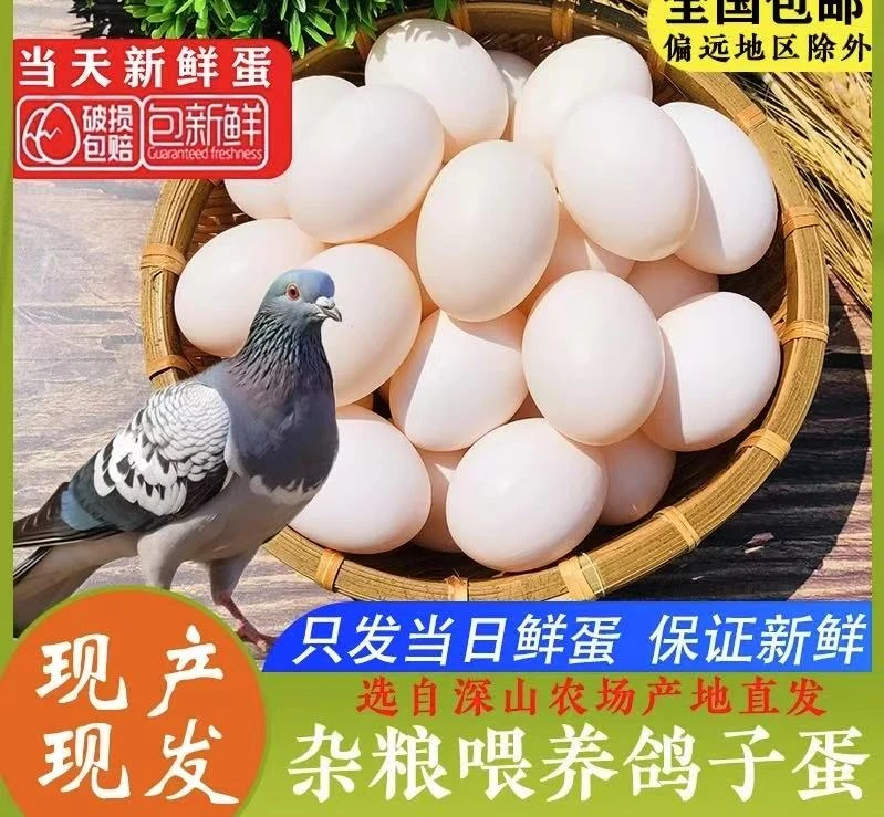 顺丰包邮精选新鲜杂粮鸽子蛋30枚，收货不满意支持无理由退款