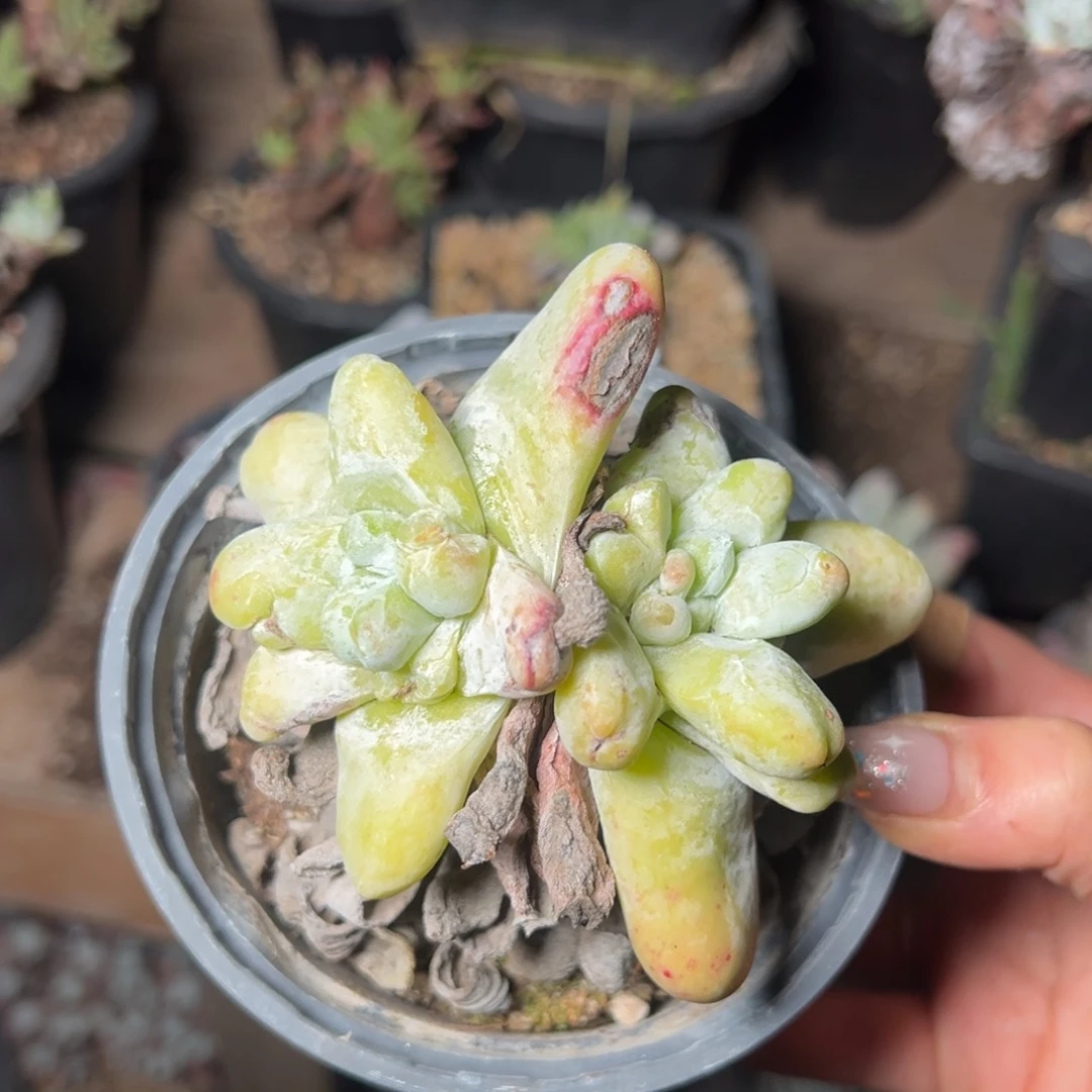 2647哈哈哈哈哈哈哈哈