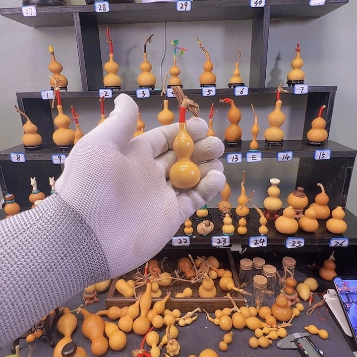 V***a混纺天津嘴蚂蚁蚂蚁