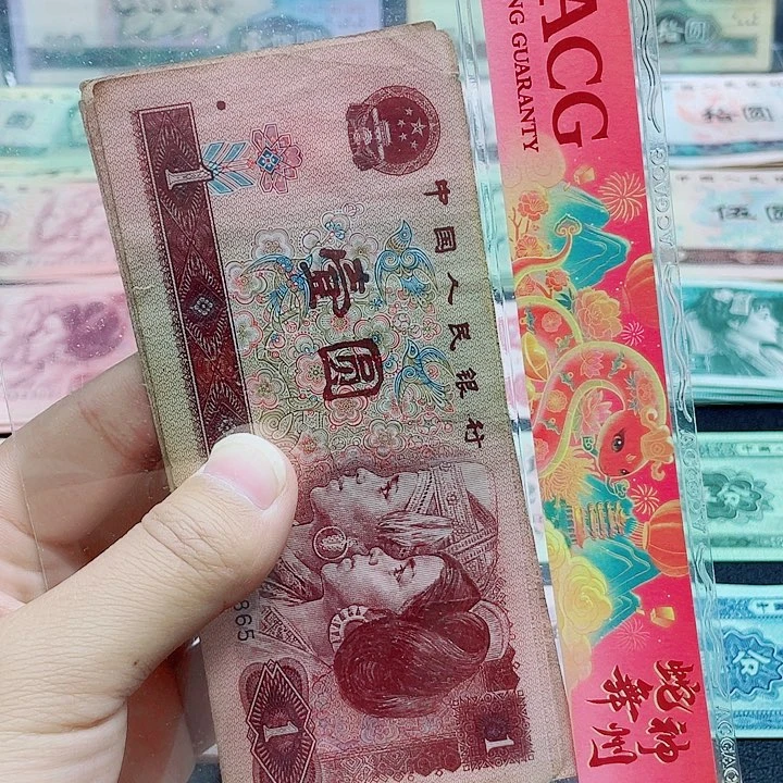 新东甄选退市旧票 5张961