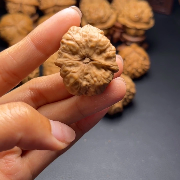 齐**齐小蛙核桃哈哈哈哈哈哈哈哈