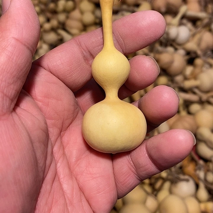 乆*丌精品葫芦手把葫芦38