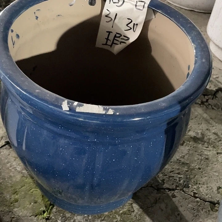 陶瓷材料南瓜大号