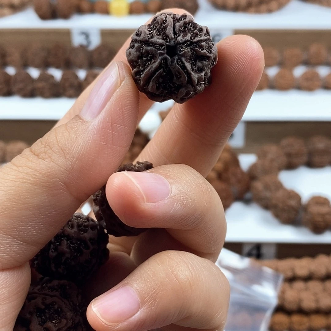 金刚菩提手串稀有精品铁籽梅花蜂窝双龙
