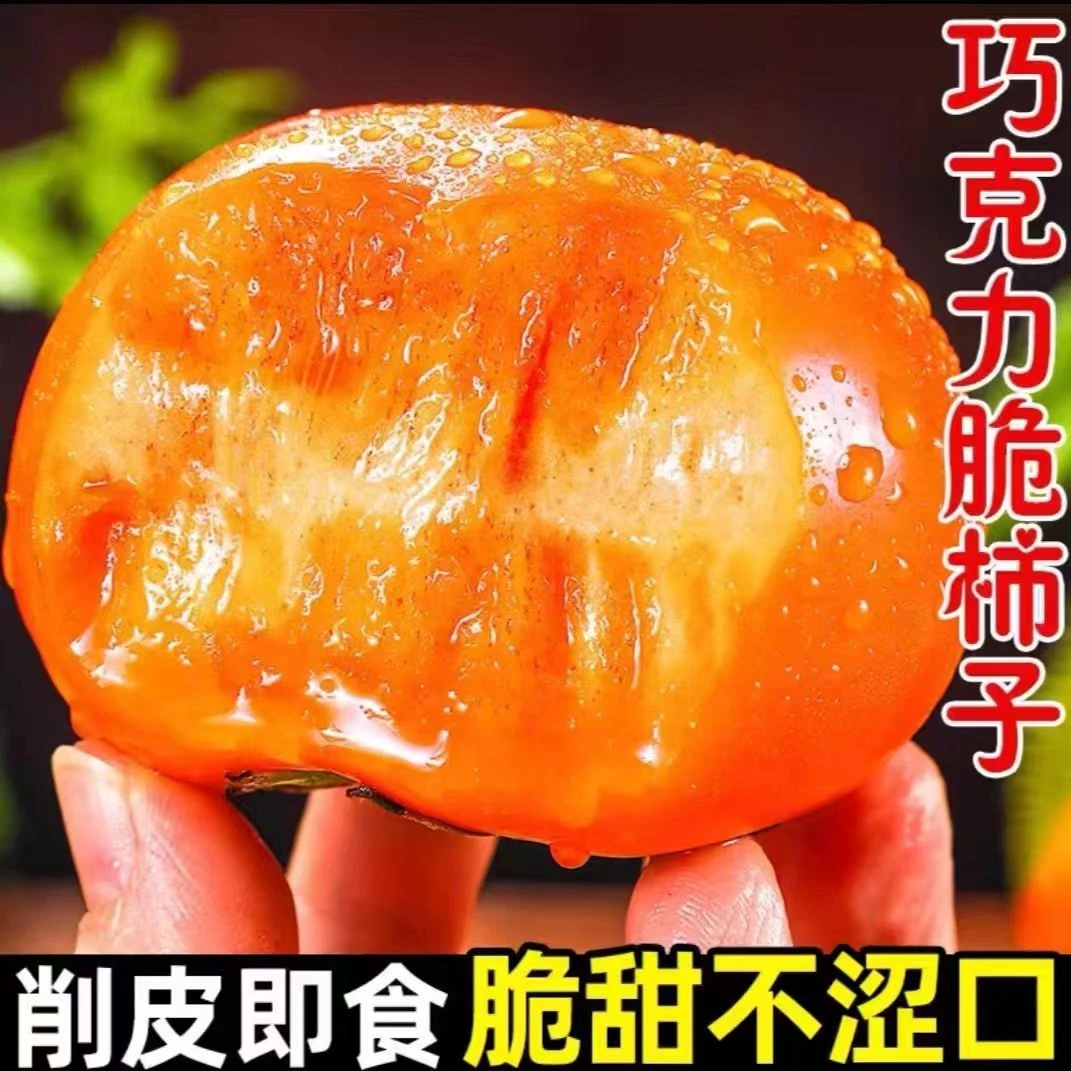 2025正宗 新鲜阳丰脆柿子水果批发巧克力柿子5斤整箱应季包邮