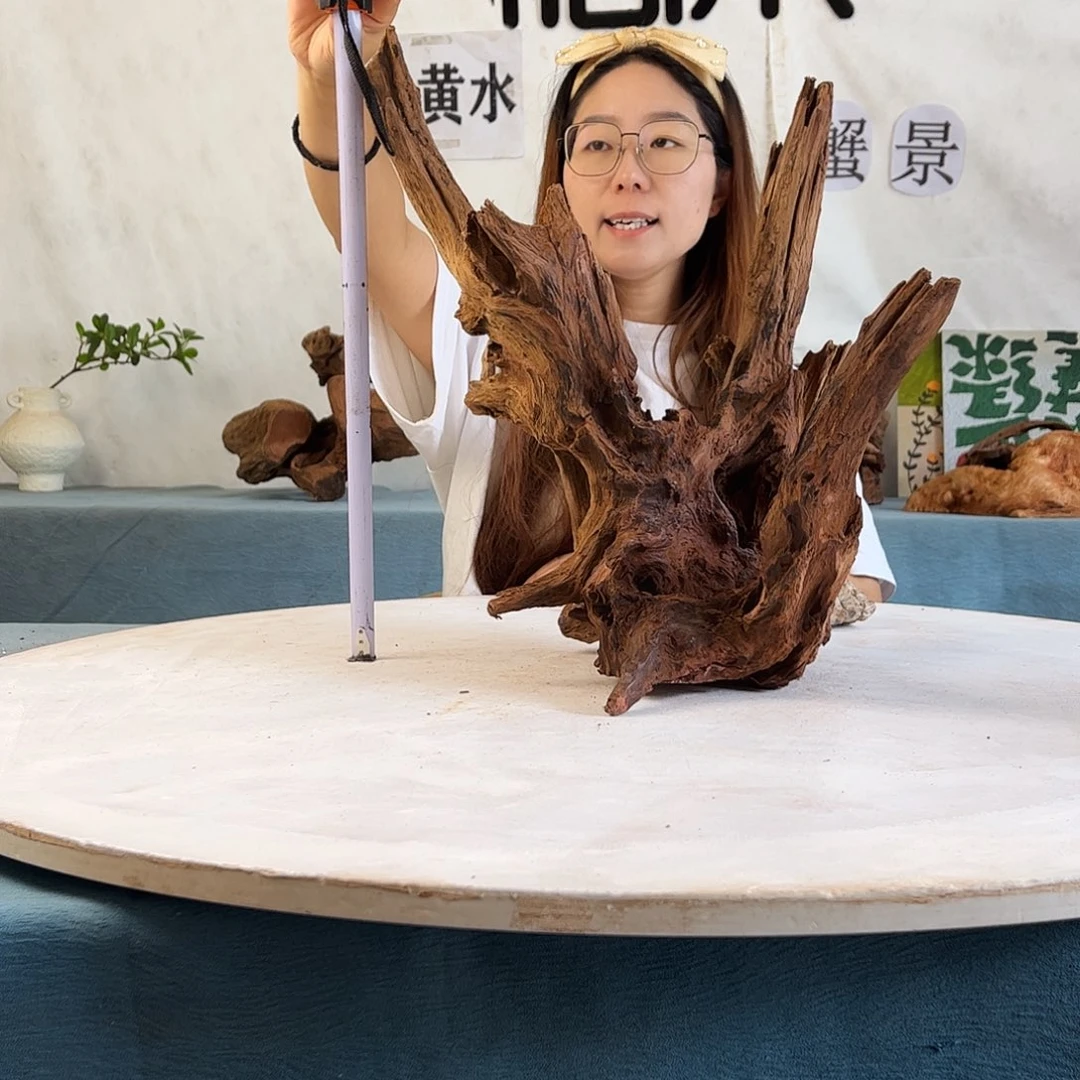 沉木造景寄居蟹景