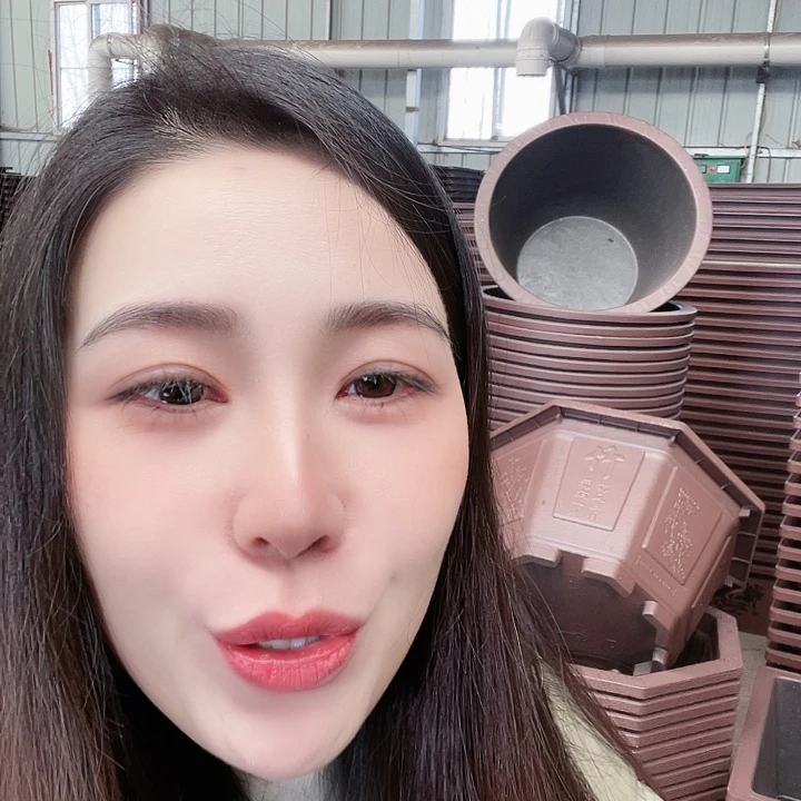 八角60口径花盆两个