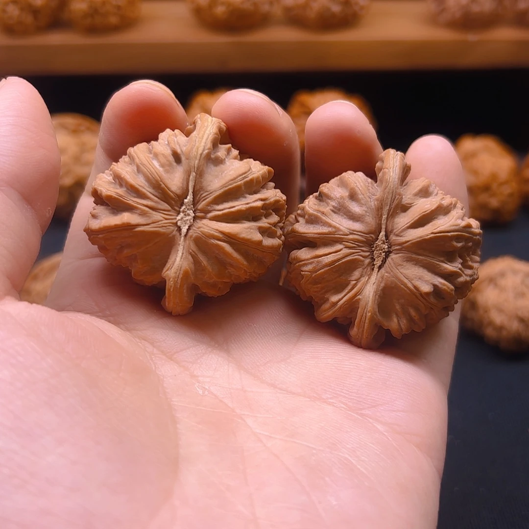 核桃把件红皮白狮子41全品