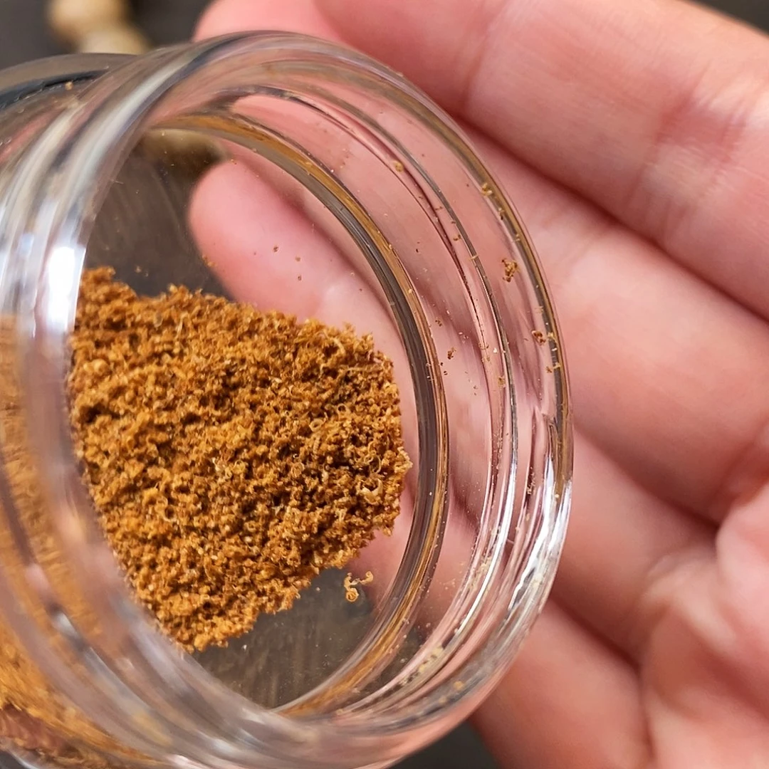 沉香碎屑沉香越南芽庄黄棋楠0.1