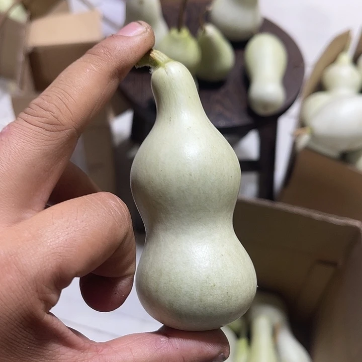 非洲紫檀(红花梨)爱*说