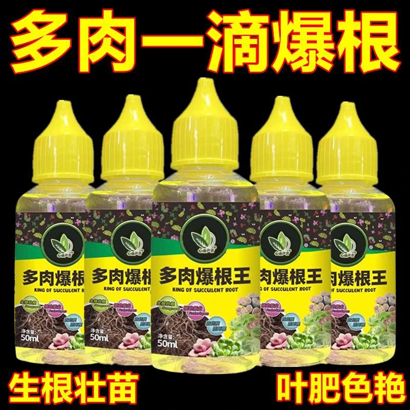 抢!多肉爆根王快速生根液壮苗剂养花水肥植物营养液通用
