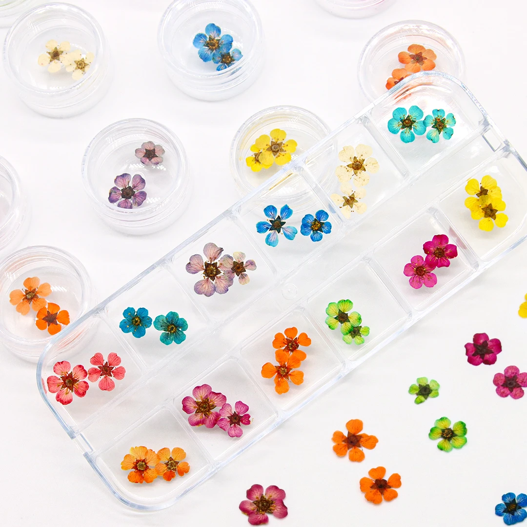 12色手工干花美甲装饰品 小清新夏日迷你干花DIY美甲材料