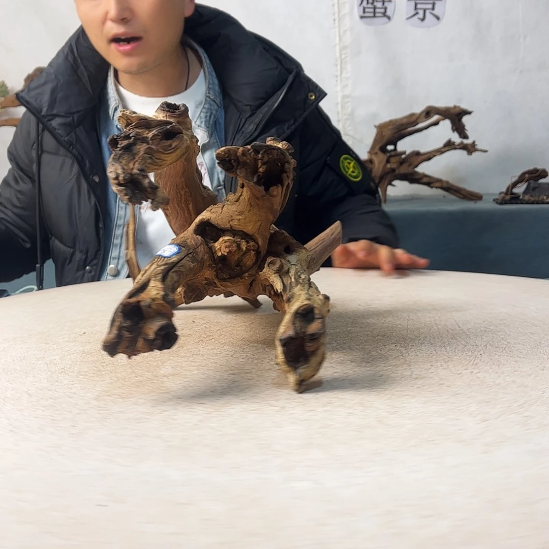 37.23.26 新年快乐沉木造景