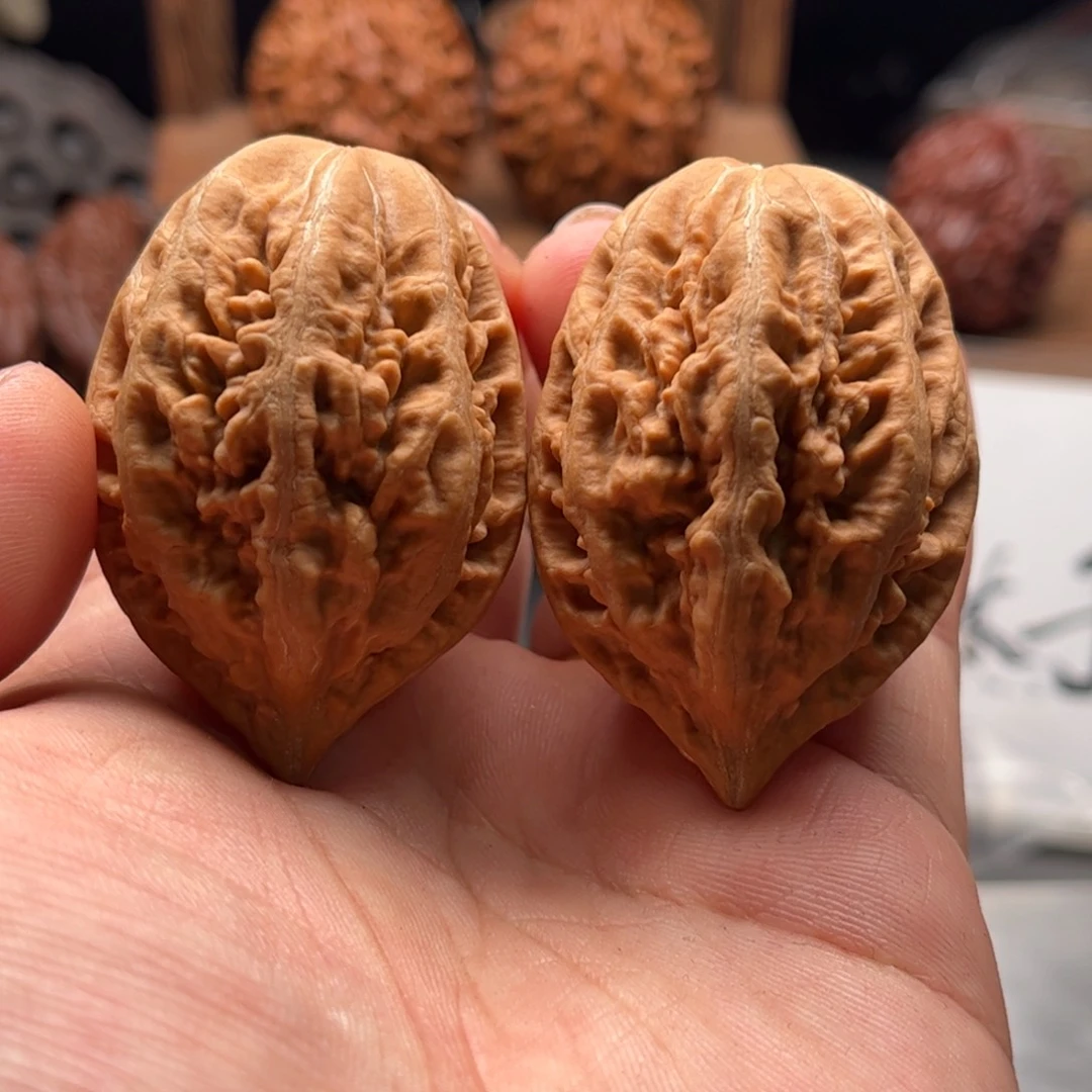 文玩核桃把件关东木子家楸大胖48