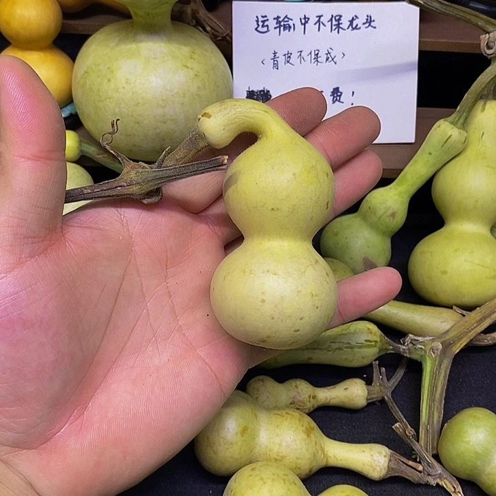 ?**?长嘴哈哈哈哈哈哈哈哈哈哈哈哈哈哈太好笑