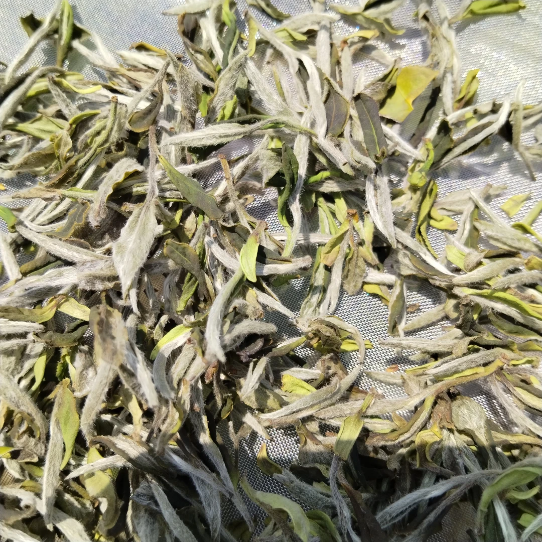 2025年福鼎有机白茶牡丹王农产品500克