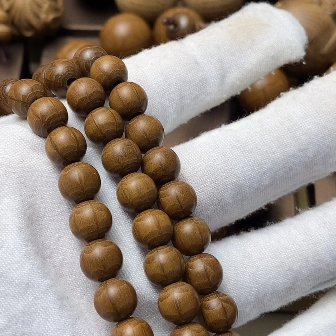 橙***乐六道木山西五台山