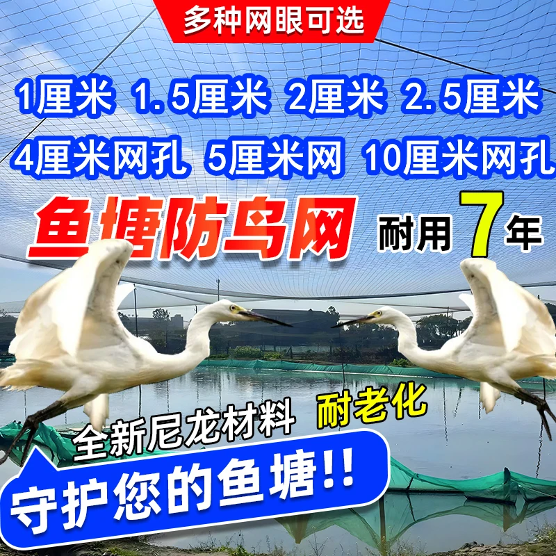 防小鸟网防护网白鹭鱼池塘泥鳅青蛙龙虾黄鳝菜地专用工厂直销批发