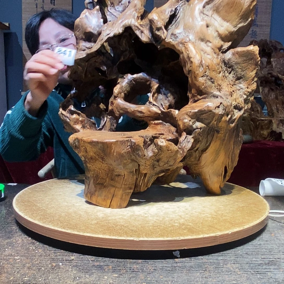 东***雅841。株木随行根艺