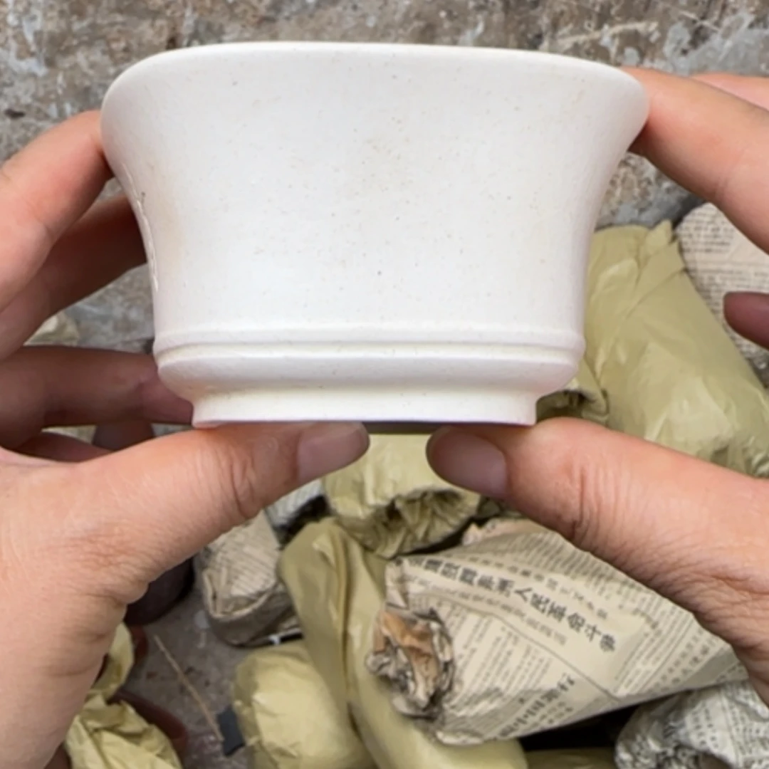 【闪购商品】茶杯紫砂紫砂茶具