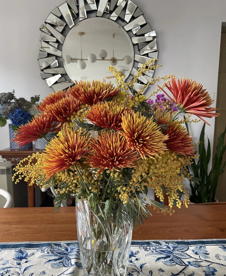 【妙花坊】烟花菊鲜花云南直发（低于0度必拍保温棉）