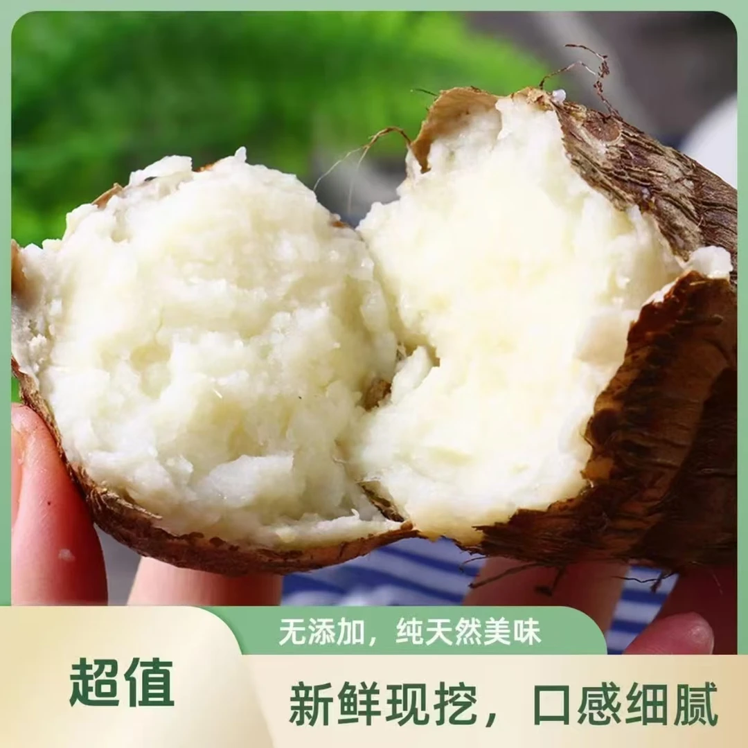 云南新鲜现挖牛奶芋头香甜软糯应季香芋芋艿蔬菜