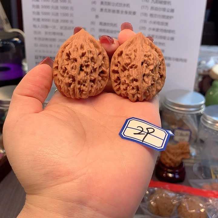 菩提籽类老树鸡心39尺寸