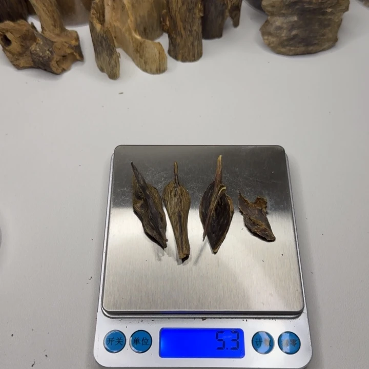 楠木天然虎斑奇5.1克