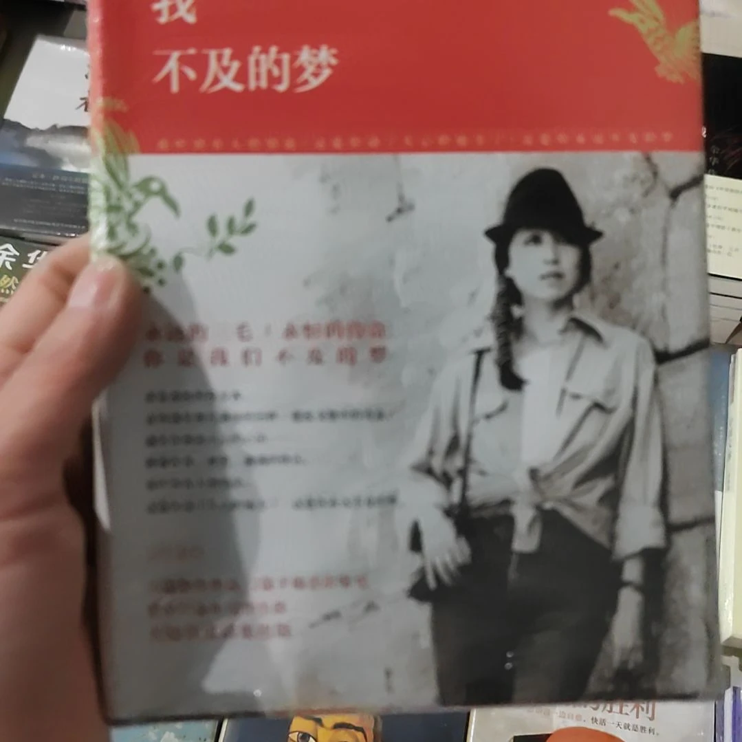 三毛你是我不及的梦