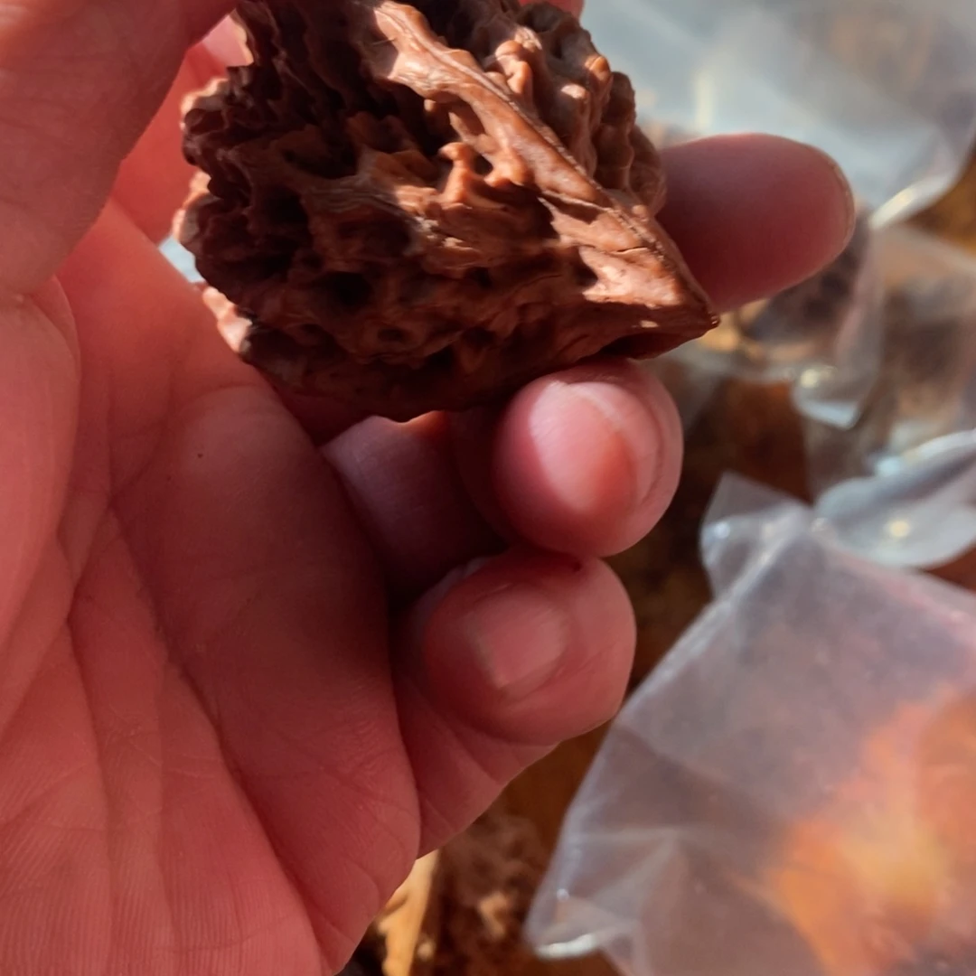 秦岭南北缘是指长江北岸