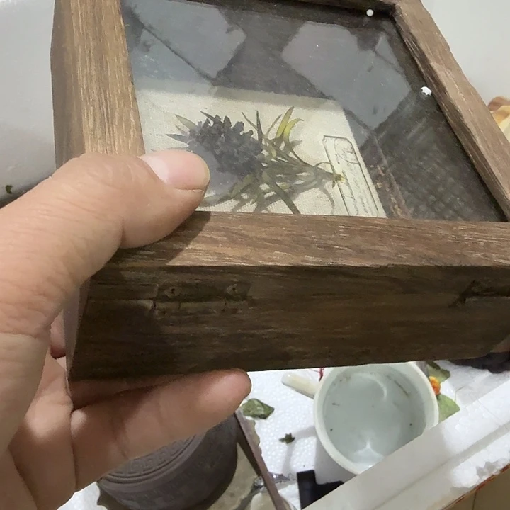 话***谅扇子吃v恍恍惚惚哈哈哈哈哈哈哈