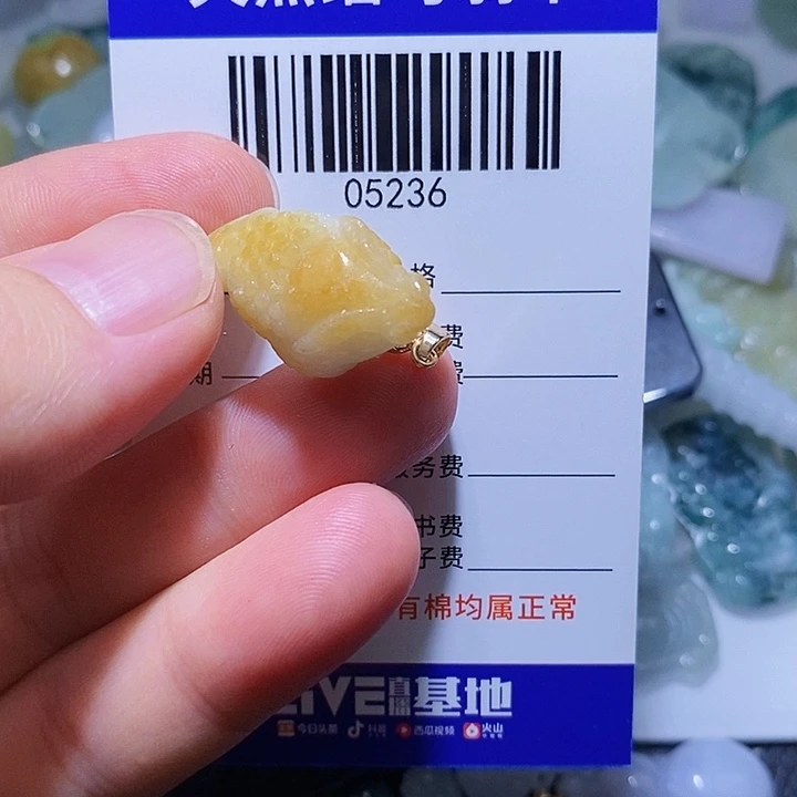 翡翠未镶嵌颈饰一