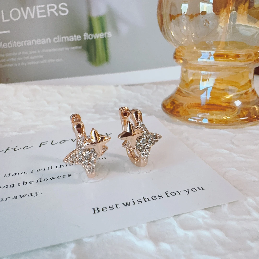 铜合金耳饰 4220 芒星耳扣