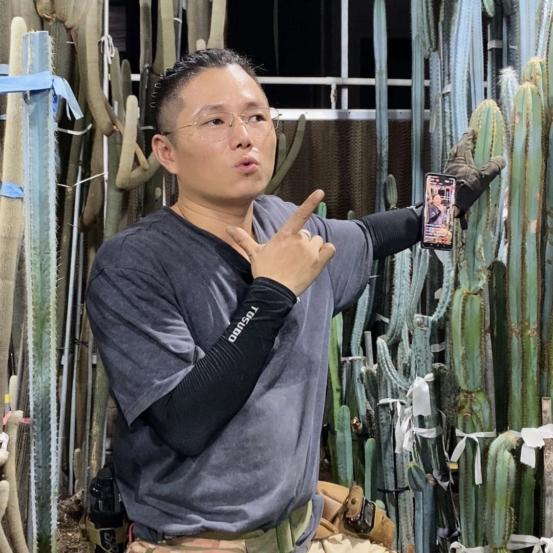 葫***财现剪20-30公分鸡腿柱5颗运费到付
