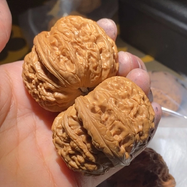 咽***炎桃核吊坠有修白狮子人