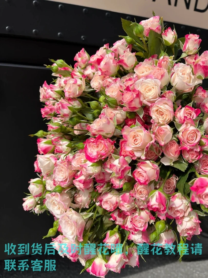 【折射泡泡鲜花】云南基地现代人生直发折射泡泡10枝坏了包赔玫瑰