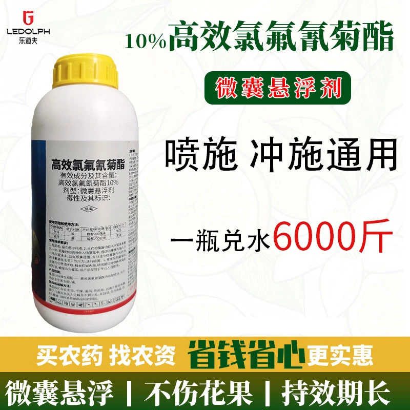 10%高效强力氯氰氟菊酯土壤果树蔬菜青虫杀虫悬浮剂氯氟氰菊脂酯