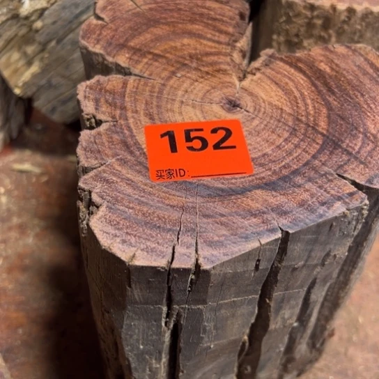 大果紫檀（缅甸花梨）路****的