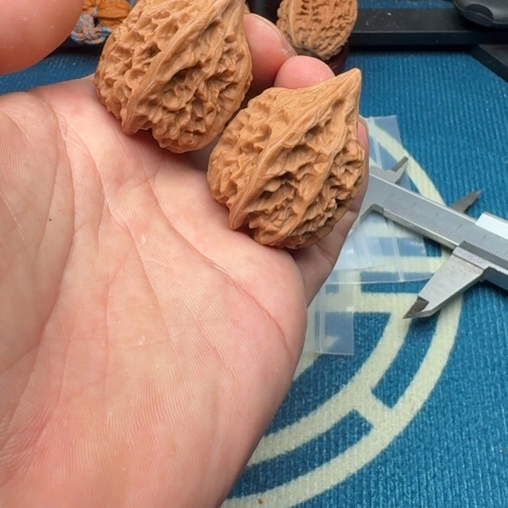 桃核吊坠吸血鬼日记