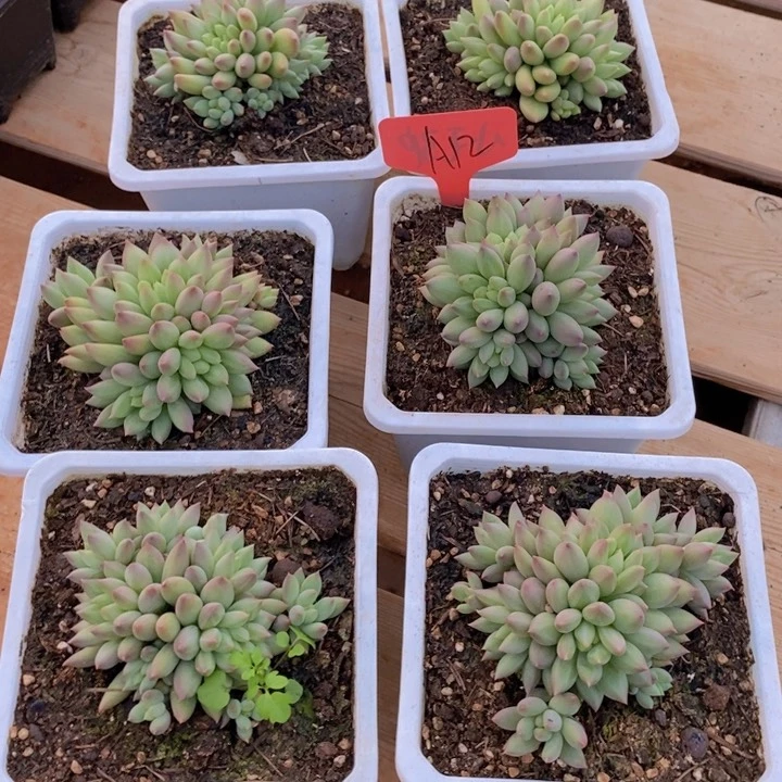 这个点睡起来都会梦的