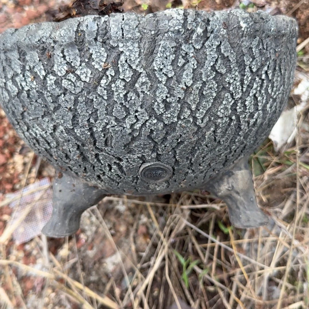 A***g重庆小燕子欢迎大家