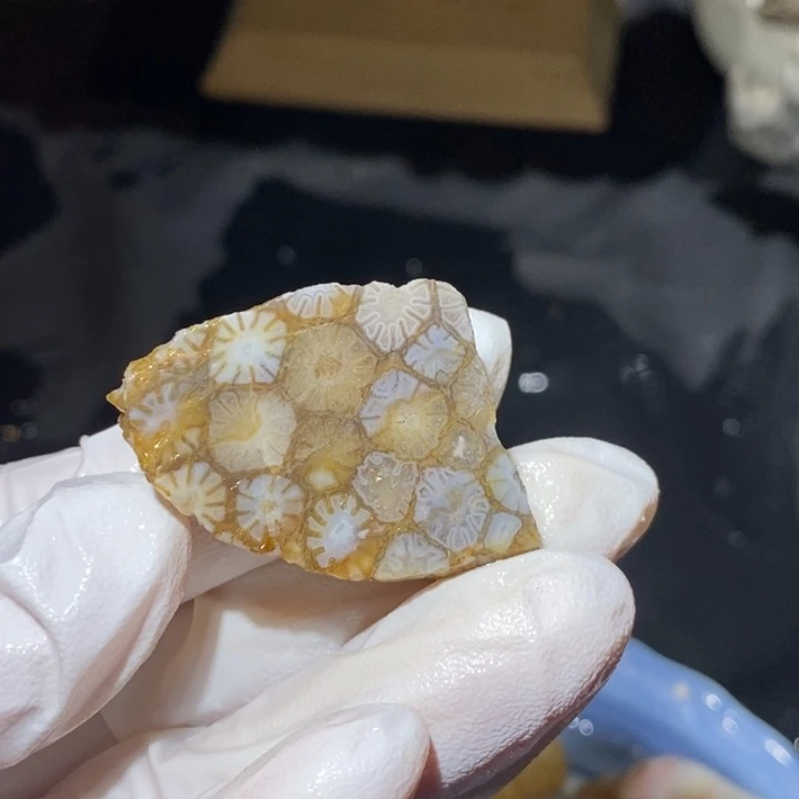 【闪购商品】未镶嵌珊瑚玉硅化玉有裂