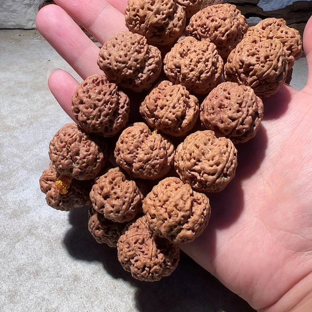 金刚菩提手串24尺寸左右粗肉蜂王福利