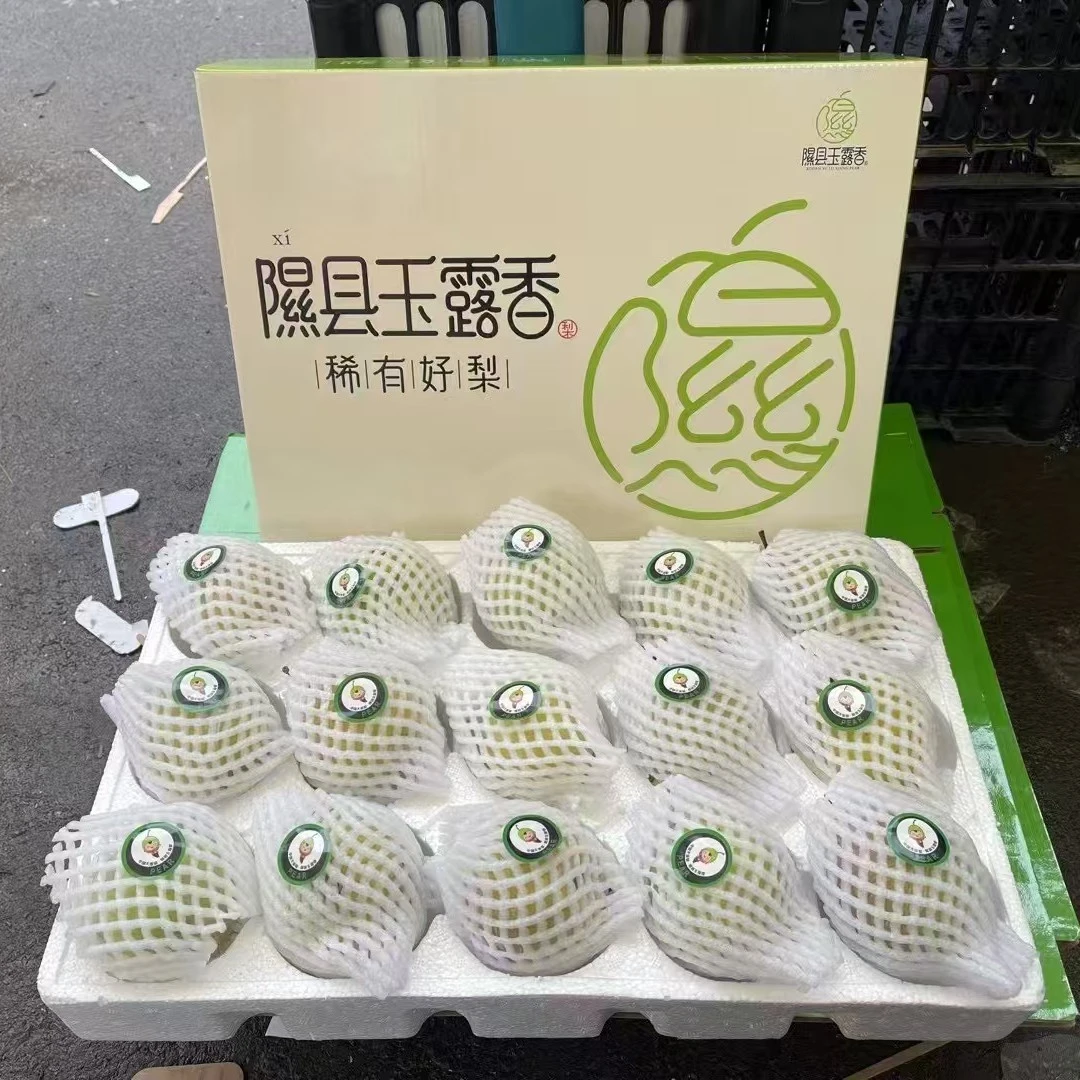 正宗山西隰县玉露香梨脆甜多汁皮薄当季新鲜水果礼盒装